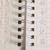 CAOMIAN 6Pcs/Sets 3D Chinese Characters Reusable Groove Calligraphy Copybook Erasable Pen Learn Hanzi Adults Art Writing Books