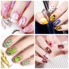 Biutee Nail Stamping Plate Kit 2 Nail Stamper 13 Nail Art Stamp Plate Set 2 Scraper Nail Stamping Kit Template Image Plate Stencils Tool for Manicure Lace Design Holiday