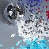 Moon Glitter Classic Chunky Glitter Silver