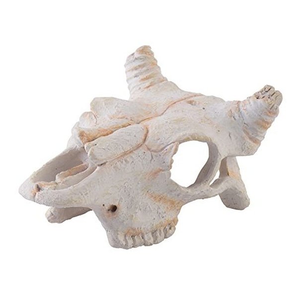 Exo Terra Buffalo Skull, Small