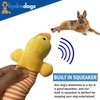 Hydrodogz 5 Pack Squeaky Plush Puppy Dog Chew Toy Assortment Animal Bundle Elephant, Pig, Duck, Cute Interactive Teething Toys for All Breeds and Sizes