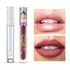 Catkin Semi Matte Liquid Lipstick Lip Gloss for Women Tinted High Pigmented, Waterproof Long Lasting Moisturizing Smooth Velvet Effect 2pcs 03