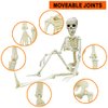 UMEELR 5Pcs Hanging Skeleton Halloween Decorations, 16in Movable Joints Realistic Full Body Poseable Plastic Skeleton for Yard Garden Patio Haunted House Halloween Party Decoration