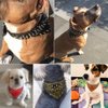 Didog 2" Width Bandana Style Scarf Leather Dog Collar, Spiked Studded Fit Dalmatian Pit Bull Terrier,Brown M Size