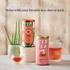 The Republic of Tea Beautifying Botanicals® Berry Aloe Herbal Iced Tea Bags (8 count)