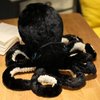 XIYUAN Stuffed Octopus Plush Toy Octopus Plush Doll Cute Big Eyes Octopus Stuffed Animals Soft Stuffed Marine Animals Plush Pillow for Kids Gift Small11.8inch (Black)