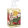 Michel Design Works Scented Foaming Hand Soap, Christmas Day, 17 Fl Oz