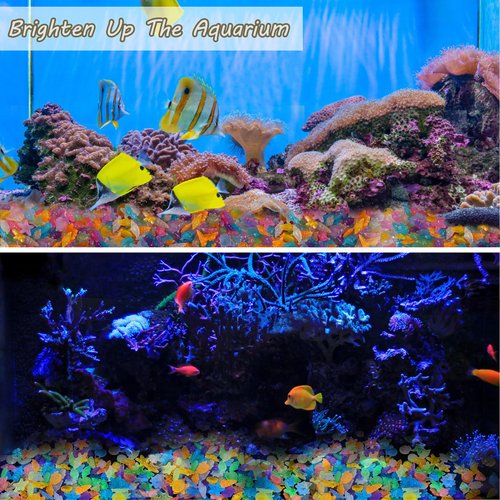 Kaiyuan Dynasty 100pc Sea Glow in The Dark Rocks Aquarium Glow Stones Rocks for Fish Tank Glow Pebbles for Fairy Garden,Yard,Bonsai,DIY Crafts,Color
