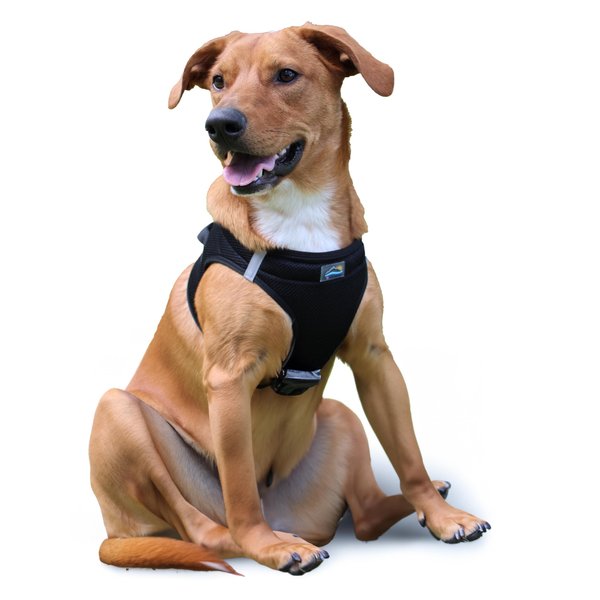 Doggie Design Dog Harness - No Choke Dog Harness, Dog Vest, Mesh Polyester, Pet Harness, Simple Step in and Go Design, Harness for Dog - Black, 2XL