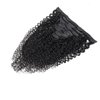 Clip In Hair Extensions Real Human Hair Curly Weave 100% Unprocessed Brazilian Kinky Curly Hair Double Weft Short Clip Ins 8 Pieces/Lot 135g with 18 Clips (12", Curly)
