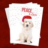 Canopy Street Labrador Love Holiday Card Pack / 25 Cards And Envelopes Pack/Festive Santa Hat Puppy Design With Greeting Inside/Dog Christmas And New Year Cards