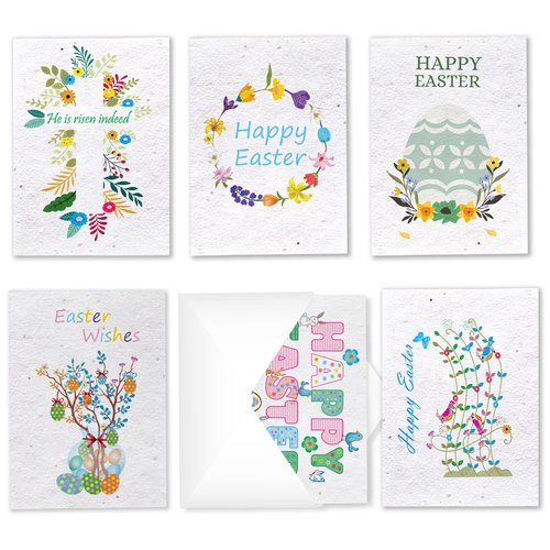 iEcco Happy Birthday Card Set - 6 Seed Paper Greeting Cards with Envelopes - 4x6 Inches - Eco-Friendly Wildflower Birthday Postcards - Biodegradable Birthday Card Pack