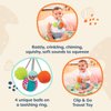 B. toys- B. baby- Sensory Baby Rattle – Baby Toy – 4 Balls & Clip – Colors, Textures & Sounds – Sounds So Squeezy- 3 Months +
