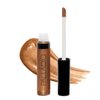 Palladio Herbal Lip Gloss (Sheer Bronze)