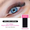 TDANCE Cashmere Easy Fan Lash Extensions Self Fanning Mega Volume Lash Extensions 0.07mm D Curl 14mm Single Length Matte Black Eyelash Extensions(0.07-D,14mm)