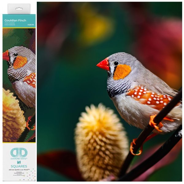 DIAMOND DOTZ ® - Gouldian Finch, Full Drill, Square Dotz, Square Diamond Painting Kits, Square Drill Diamond Painting, Diamond Painting Square Drill, Square Diamond Art, 12.2"x16.1"