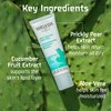 Weleda Sheer Hydration Daily Face Crème, 1 Fluid Ounce, Plant Rich Moisturizer with Prickly Pear Cactus Extract and Aloe Vera, 1 Fl Oz (Pack of 1)