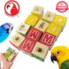 Bonka Bird Toys 2664 PK12 Wooden ABC Blocks Foot Talon Craft Part Parrot Toy, Conure, Amazon, Parakeet, and Similar Breed Sizes