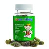 Gummi King Echinacea Plus Vitamin-C Zinc Supplement, Strawberry/Lemon/Orange/Grape/Cherry/Grapefruit, 60 Count