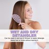 Daily Gard Detangling Brush, Dry and Wet Vented Detangler Hair Brush for Women and Men, Paddle Quick Drying Hairbrush for Wet/Dry/Curly/Thick/Long/Wavy/Damaged Hair, Purple