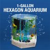 Tetra Bubbling LED Aquarium Kit 1 Gallon, Hexagon Shape, With Color-Changing Light Disc,Green (Packaging may vary) , 1 gallon (7.5 x 7.5 x 7.7")