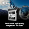 Lexar 512GB Professional Silver SE CFexpress Type B Memory Card, for Photographers, Videographers, Up to 1700/1250 MB/s, 8K Video (LCXEXSE512G-RNENU)