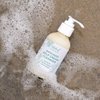Sea-El Avocado & Kelp Cream Cleanser Non-Foaming Gentle Deep Cleanse to Purify Tone & Firm - Moisturizing Natural Face Wash for Women & Men - 4 Oz