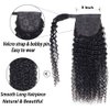 Seelaak Long Curly Human Hair Ponytail Wrap Around Kinky Curly Thick Brazilian Human Hair Extensions Jerry Curl Clip ins Silky Hair Pieces Natural Black for Black Women Update 120g (24 inch)