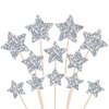 30 PCS Silver Little Star Cupcake Toppers Glitter Twinkle Star Cupcake Picks Bridal Shower Cake Decorations for Wedding Engagement Baby Shower Kids Birthday Party Supplies Mixed Size