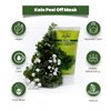 Reshma Beauty Kale Peel Off Mask | Removes Blackheads & Excess Oil | Pore Purifying and Cleasning | Cruelty Free | Peel Off Mask for All Skin Types (Pack of 1), 5.07 oz