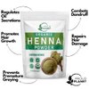 Organic Henna Powder For Hair Dye | Lawsonia Inermis | Mehndi Powder | Natural & Raw | USDA Certified by Proud Planet (8oz | 226g)