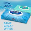 Clorox Disinfecting Wipes, Bleach Free Cleaning Wipes, Fresh Scent, 75 Count (Package May Vary)