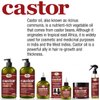 Difeel 99% Natural Premium Hair Oil - Pro-Growth Castor Hair Oil 7.1 oz. - Natural Castor Oil for Hair Growth