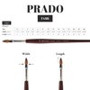 Speedball Art Products Escoda Prado Series Artist Watercolor & Acrylic Short Handle Filbert Paint Brush, Size 8, Synthetic Sable