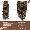 Hetto Curly Clip in Hair Extensions Curly Hair Extensions Water Wavy Human Hair Extensions Clip in #4/27 Brown Highlighted Blonde Curly Clip in Extensions 14 Inch 7Pcs 105g
