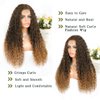 Limerence Long Curly Wigs Curly Wigs for Women Ombre Curly Wig Synthetic Wigs Natural Middle Part Wigs Long Curly Hair Wigs 24inch Hair Wigs (T-27,24inch)