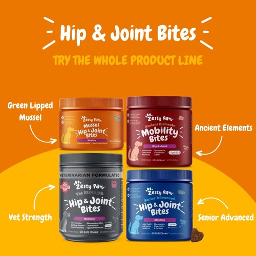 Zesty Paws Mussel Mobility Bites for Dogs - New Zealand Green Lipped Mussel with Natural Glucosamine & Chondroitin + Omega-3 Fatty Acids - Hip & Joint Support Supplement Soft Chews – 90 Count