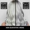 Pure Blends Tempted Silver Intense Color Depositing Conditioner | Brighten & Tone Color Faded Hair | Semi Permanent Hair Dye | Prevents Color Fade | Extend Vibrant Color Tones To Dyed Hair | 8.5 Oz.