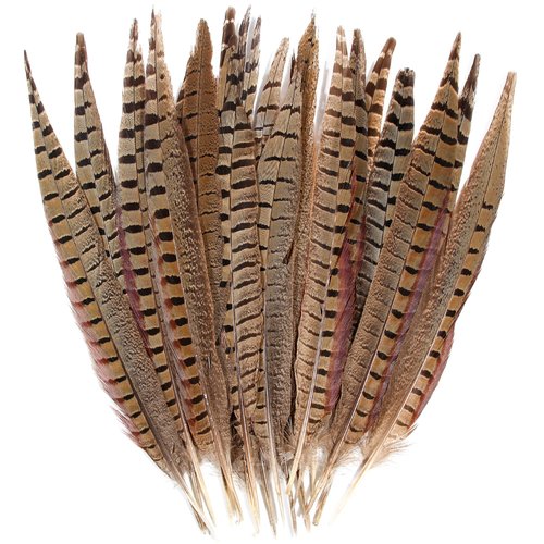 20pcs Male Pheasant Feather Natural Ringneck Tails Feathers 12-14inch 30-35cm for Crafts Home Wedding Party Performance DIY Decoration Pheasant Feather,Male Pheasant Feathers