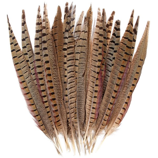 20pcs Male Pheasant Feather Natural Ringneck Tails Feathers 12-14inch 30-35cm for Crafts Home Wedding Party Performance DIY Decoration Pheasant Feather,Male Pheasant Feathers