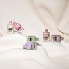 ILNP Velvet Collection - Glistening Velvet-Inspired Nail Polish Collection
