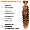 Human Braiding Hair 100g Deep Wave Bulk Human Hair for Braiding No Weft 4/27 Wet and Wavy Human Hair Braiding Hair Brazilian Virgin Curly Human Hair Extensions for Boho Braids 18 Inch 2 Bundle