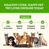 Animal Essentials Liver Defense-Herbal Formula for Dogs & Cats, Maintain Healthy Liver Function, Sweet Taste, 100% Organic Human Grade Herbs, Veterinarian Recommended Animal Wellness Tonics - 1 Fl Oz