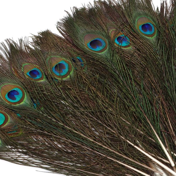 Ovida 50 Pcs Natural Peacock Feather 9.8-11.8 Inch Long Peacock Eye Feathers for DIY Hat Crafts Vase Wedding Home Holiday Decoration Table Centerpieces