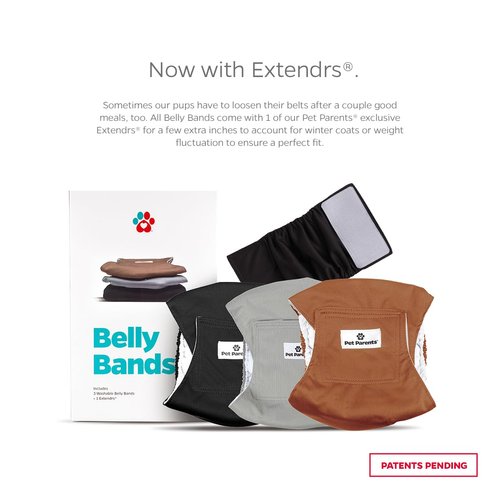 Pet Parents Premium Washable Belly Bands for Male Dogs & Extendrs, (3pack) of Male Dog Diapers & Male Dog Belly Bands, Color: Natural, Size: Medium Dog Diapers Male