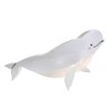 Novelty White Beluga Hair Clips,Cellulose Acetate Hair Clips,Big Claw Clips for Girl,Hair Accessories