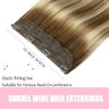 SURNEL Wire Hair Extensions Real Human Hair 20 inch 80g Balayage Walnut Brown to Ash Brown and Golden Blonde Remy Real Hair Extensions Invisible Wire Human Hair Extensions(20,3/8/22)