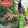 O'Keeffe's Working Hands Hand and Body Lotion, 12oz Pump (Pack of 1) - Heals and Relieves Extremely Dry Skin