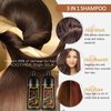 Blonde Brown Hair Dye Shampoo 3 in 1 for Men Women, Natural Hair Color Shampoo for 100% Gray Coverage, Brown Hair Colors in 10-15 mins, Shampoo Para Canas Hair Dye Shampoo 16.9 Fl Oz (Blonde brown)