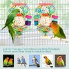 BBjinronjy Bird Toys Conure Toys Hanging Natural Soft Sola Ball Beak Chew Shred Forage Toys for Parrots,Cockatiel,Conure,Love Birds,Parakeets,Budgie and Other Small Birds (Girls)